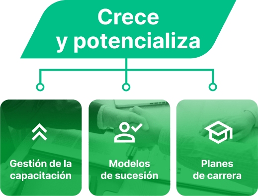 crece integra lennken